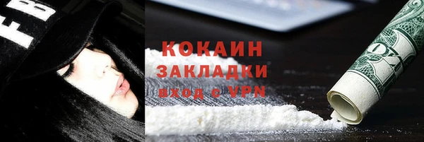 mdpv Богородицк