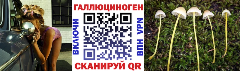 хочу   Власиха  MEGA ТОР  Псилоцибиновые грибы Cubensis 