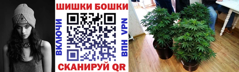 закладки  Власиха  МАРИХУАНА сатива 